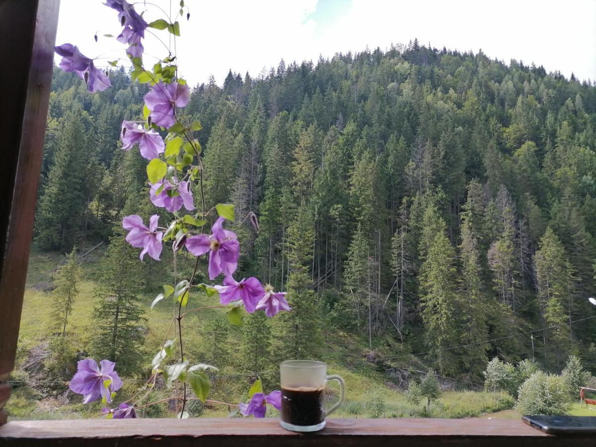 Pensiunea Izabel Lacul Roşu Exterior foto