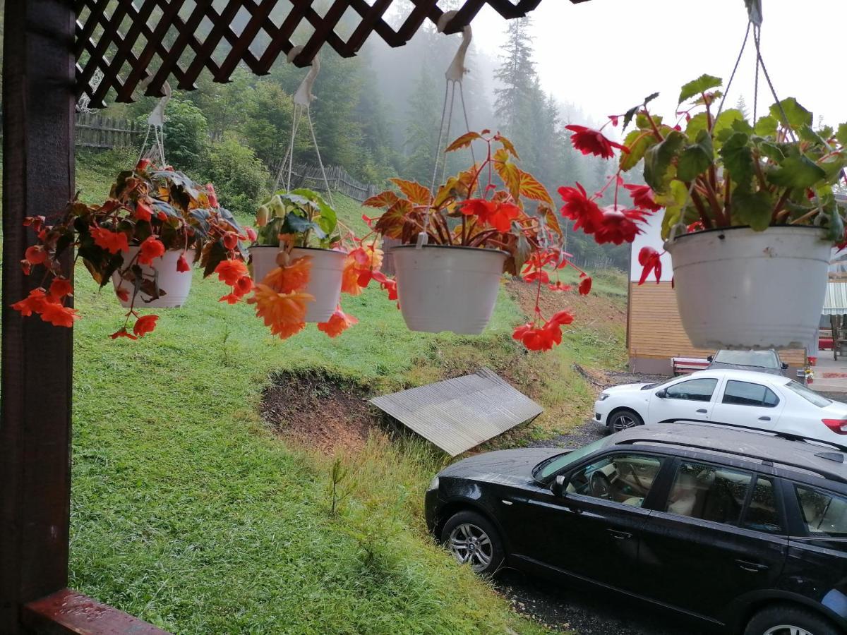 Pensiunea Izabel Lacul Roşu Exterior foto