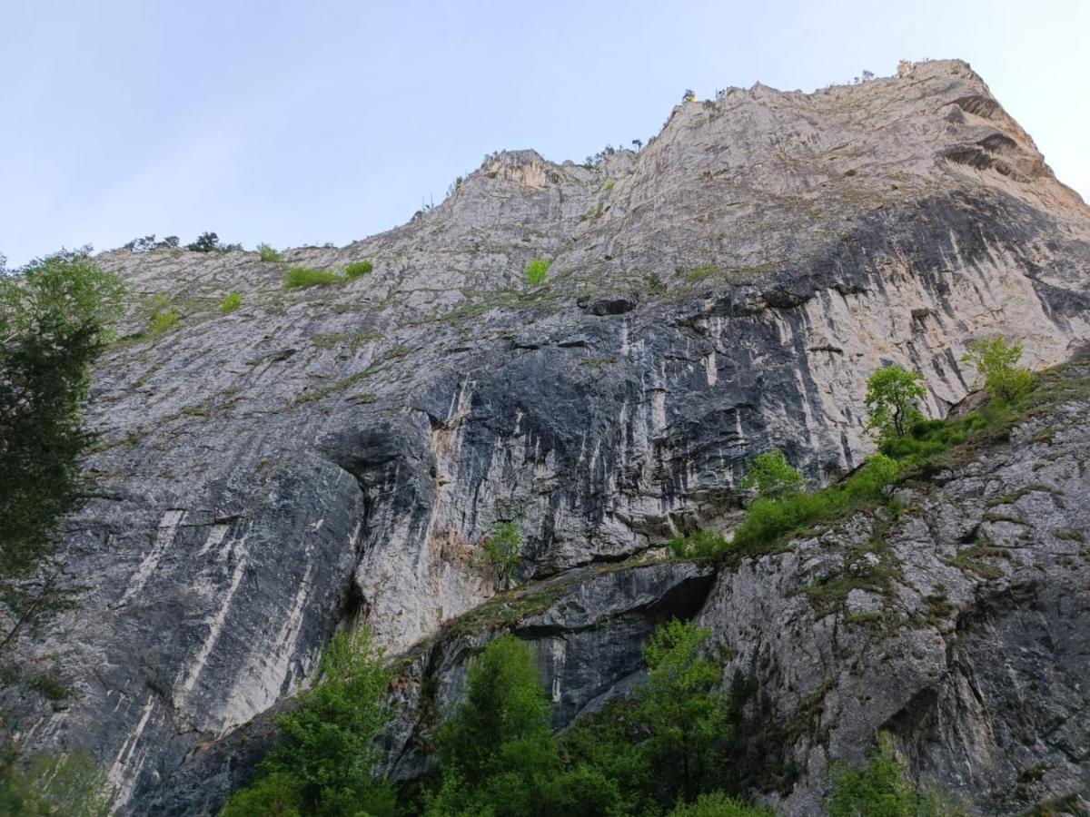 Pensiunea Izabel Lacul Roşu Exterior foto